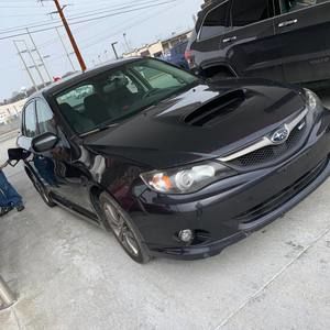 Meet your Posher, Dawson